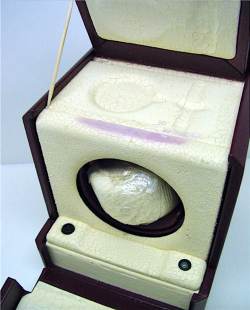 Patek Philippe Scatola Del Tempo Uhrenbeweger u.a. für die Ref. 3940  Image 4
