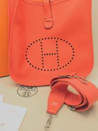 EVELYNE GM Bag Orange ungetragen aus 2017 Abbildung 8