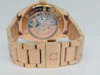 SEAMASTER Aqua Terra Co Axial Rotgold Abbildung 5