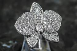 Cartier CARESSE D'ORCHIDÉES par Cartier Ring | Weißgold | Diamant Pavé Abbildung 10