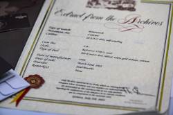 Patek Philippe 3700 Vintage Jumbo Nautilus Type 7 Serif Korkbox und PP Service Image 17