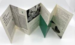 Rolex Faltbroschüre American Rolex Watch Corporation von 1957 Abbildung 3